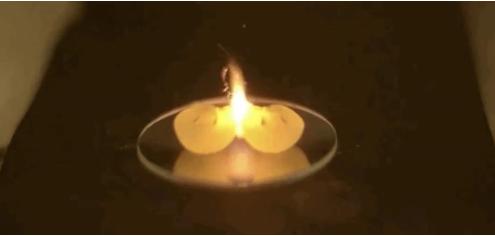 Đừng bao giờ cho 2 quả nho vào lò vi sóng nếu không muốn gây nguy hiểm-1