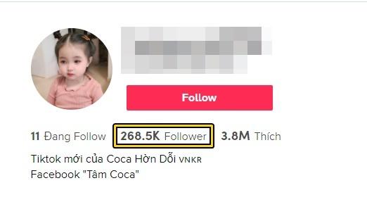 Tan chảy cô bé con lai đẹp như thiên thần của mẹ 9X ở Hải Phòng-1