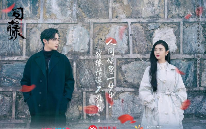 Bình hoa di động Cảnh Điềm vượt mặt Cẩm Tâm Tựa Ngọc-4