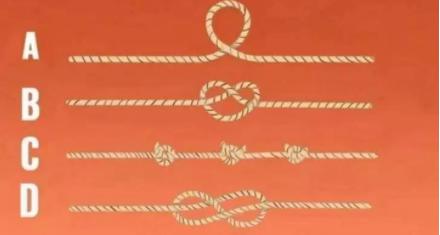 Chọn sợi dây dài nhất để khám phá bí mật ẩn sâu trong bạn-1