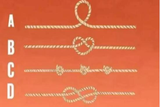 Chọn sợi dây dài nhất để khám phá bí mật ẩn sâu trong bạn