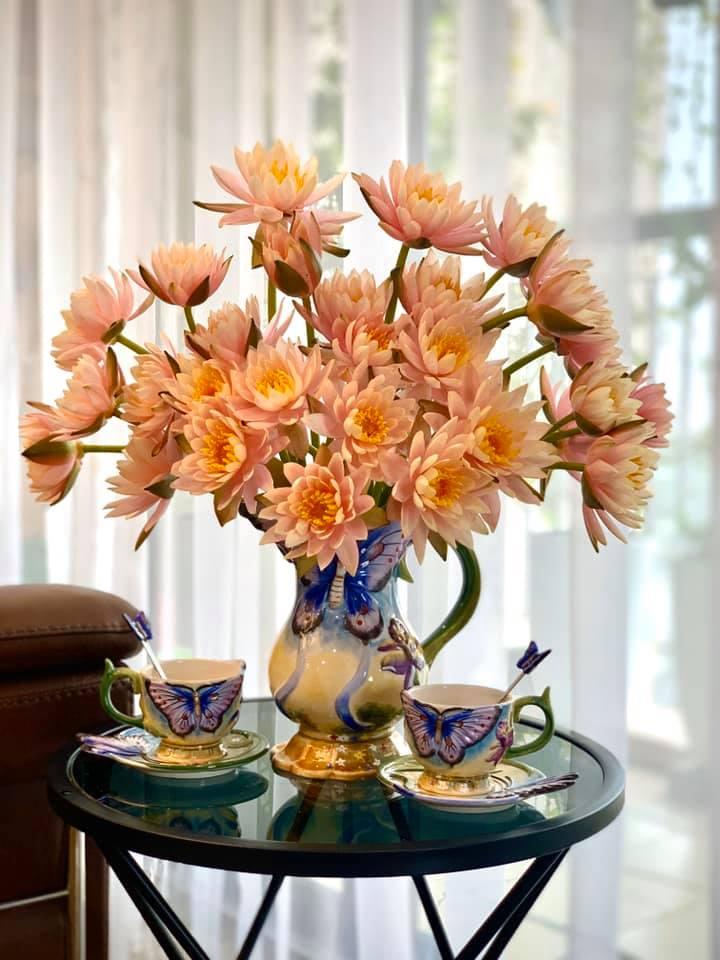 Mê mẩn vườn súng nở rực rỡ trong không gian sống của mẹ Hà Nội-2