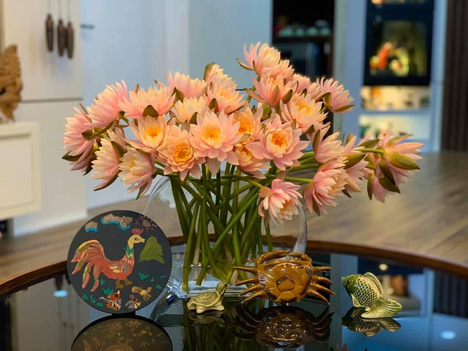 Mê mẩn vườn súng nở rực rỡ trong không gian sống của mẹ Hà Nội-3