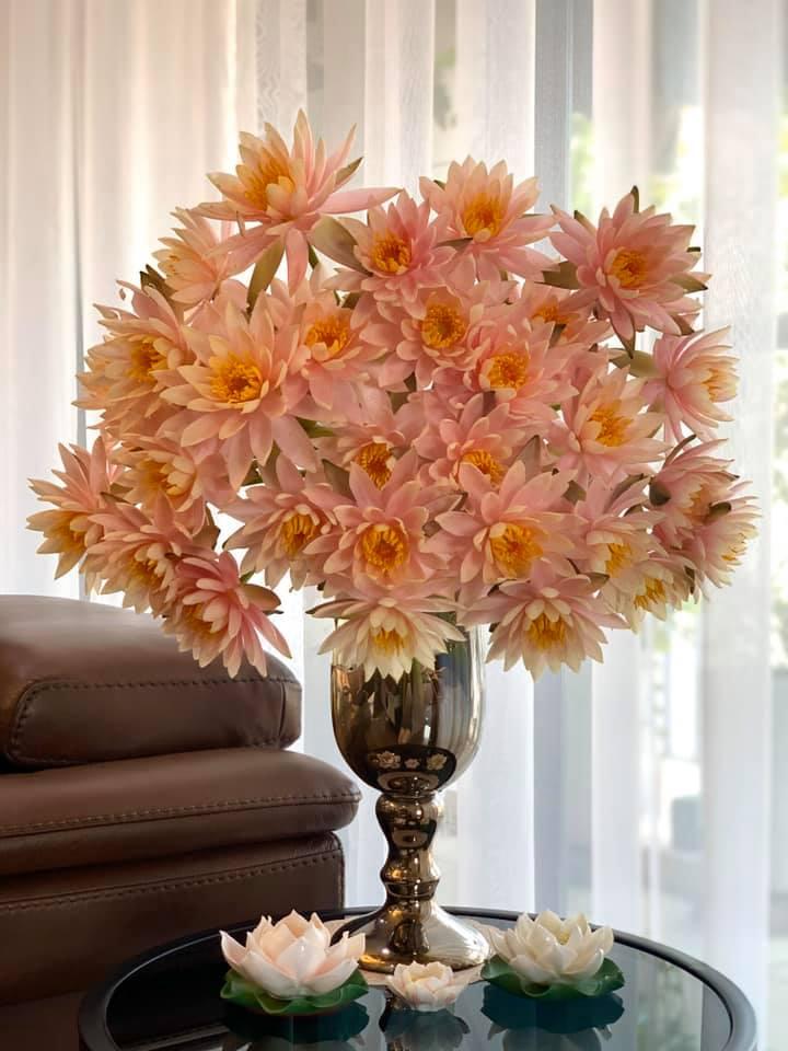 Mê mẩn vườn súng nở rực rỡ trong không gian sống của mẹ Hà Nội-4