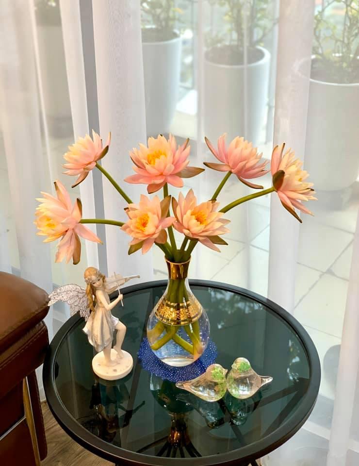 Mê mẩn vườn súng nở rực rỡ trong không gian sống của mẹ Hà Nội-8