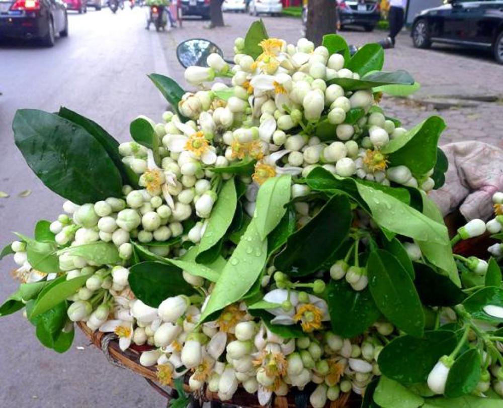 Những thói quen sử dụng bột sắn không đúng cách gây nguy hiểm cho sức khỏe-4