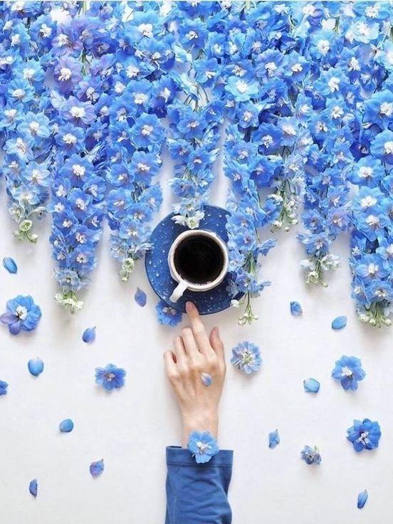 Tử vi 12 cung hoàng đạo thứ Tư ngày 17/3/2021: Nhân Mã bất ổn, Song Tử cáu giận-1