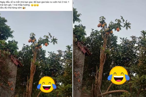 Ông bố dễ thương trổ tài ảo thuật gia cổ vũ con trai hút nghìn like-5