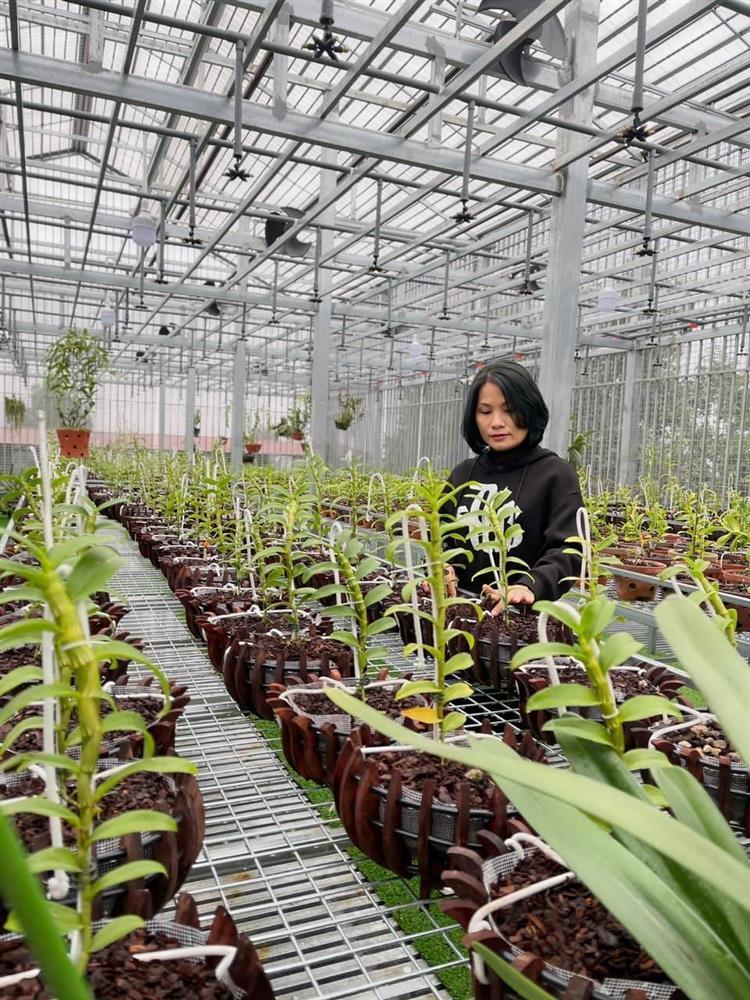 Vườn lan nghìn chậu của ‘bóng hồng’ 8X Bắc Ninh-1