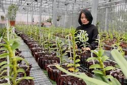 Vườn lan nghìn chậu của ‘bóng hồng’ 8X Bắc Ninh