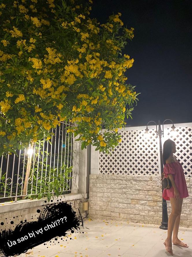 Thủy Tiên kinh ngạc sự tiến bộ của Công Vinh, gia đình bớt lục đục-6