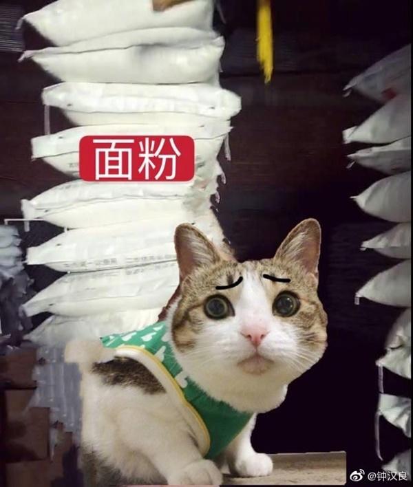 Cẩm Tâm Tựa Ngọc: Chung Hán Lương đăng Weibo vì cảnh phim 18+-1