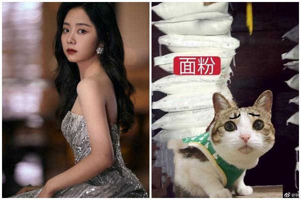 Chung Hán Lương đăng Weibo vì cảnh phim 18+