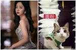 'Cẩm Tâm Tựa Ngọc': Chung Hán Lương đăng Weibo vì cảnh phim 18+
