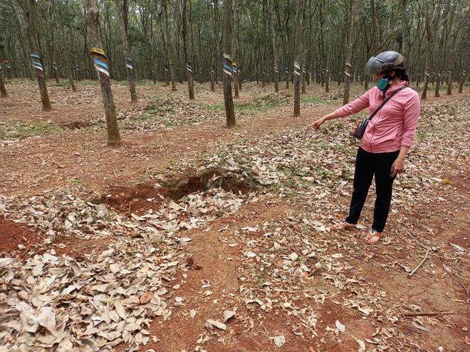 Bé 12 tuổi bị đánh dã man khi đi học về: Đánh ngất rồi kéo lê 60m-2