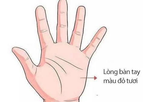 Dù nam hay nữ sở hữu tướng bàn tay này: Thần Tài sủng ái, tuổi trung niên cực phất-2