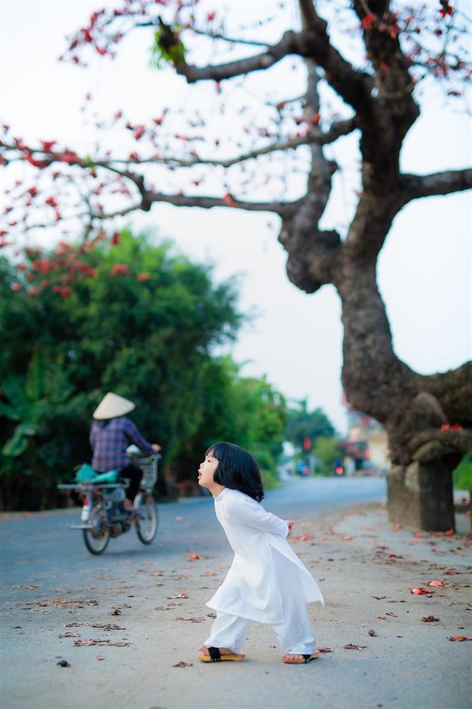 Công chúa nhỏ 3 tuổi hóa nàng thơ trong bộ ảnh bố chụp bên gốc hoa gạo đỏ rực trời Thái Bình-2