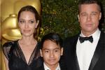 Brad Pitt đau lòng trước cáo buộc bạo hành của Jolie-3