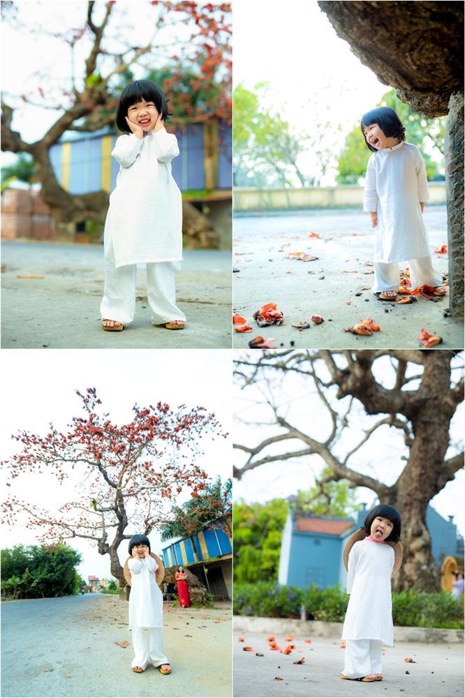 Công chúa nhỏ 3 tuổi hóa nàng thơ trong bộ ảnh bố chụp bên gốc hoa gạo đỏ rực trời Thái Bình-12