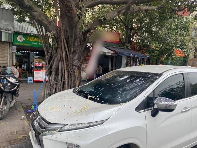 Đỗ ô tô dưới gốc cây, chủ xe choáng váng khi có người hắt nguyên bát phở lên kính trước-1