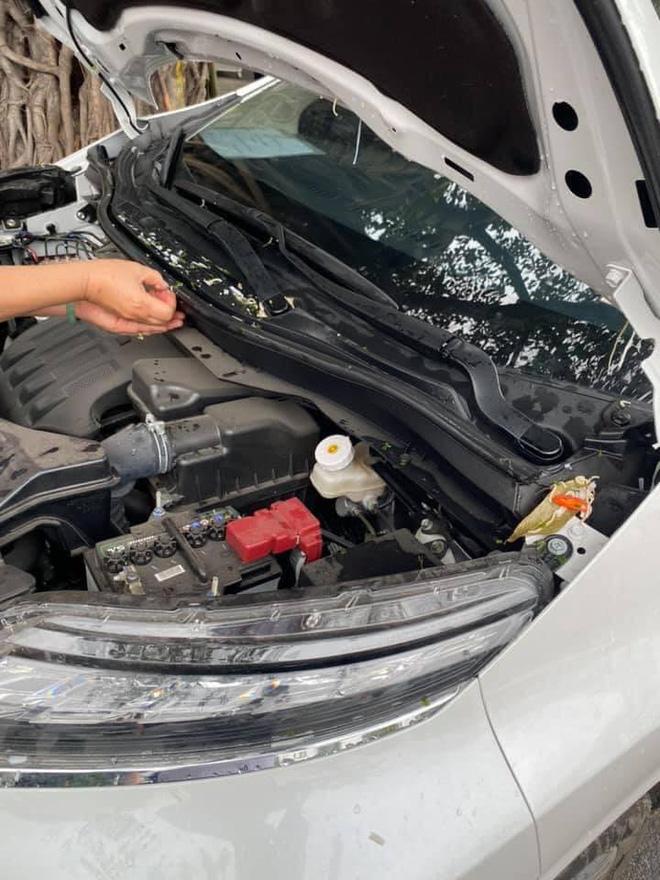 Đỗ ô tô dưới gốc cây, chủ xe choáng váng khi có người hắt nguyên bát phở lên kính trước-3