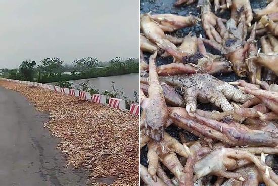 Rùng mình chân gà ruồi bọ, thối mốc phơi ngoài đường và sự thật