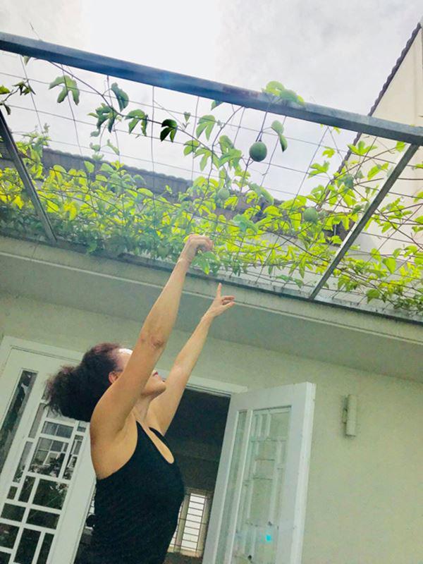 Đã mắt ngắm vườn rau của mẹ Hồ Ngọc Hà giữa đô thị-7