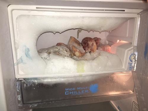 Chùm ảnh những chiếc tủ lạnh đông đá bá đạo chỉ vì khổ chủ cả năm không lau chùi-1