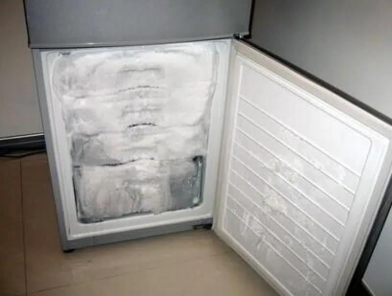 Chùm ảnh những chiếc tủ lạnh đông đá bá đạo chỉ vì khổ chủ cả năm không lau chùi-7