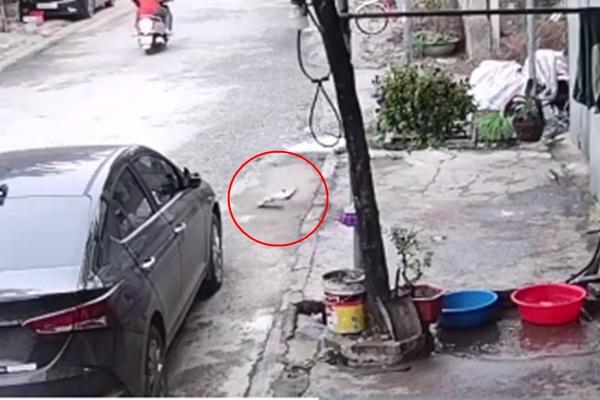 Hí hửng order bánh gà về ăn, chủ thớt nhận về mấy miếng bánh đen như cục than-8