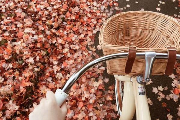 Từ giữa tháng 3, người sinh tháng Âm lịch này thăng hoa viên mãn-4