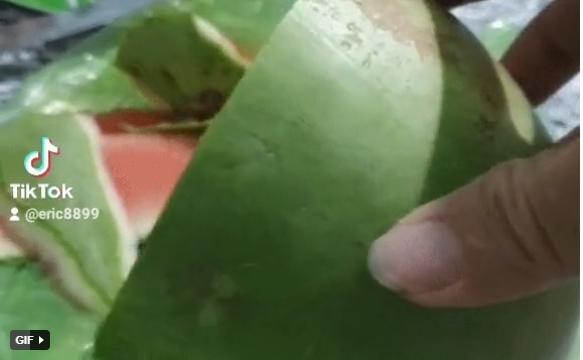 Có cô vợ đỉnh của chóp mua quả dưa hấu thế này thì còn gì bằng?-1