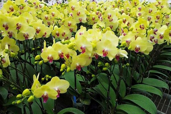 Tuần mới, những cung hoàng đạo liên tiếp gặp thị phi, họa vô đơn chí-4