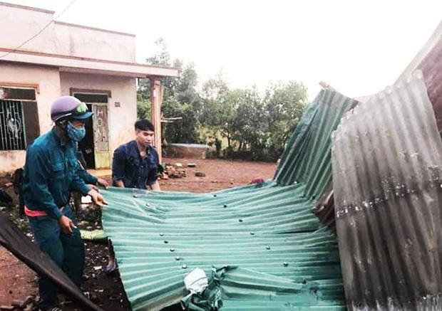 Lâm Đồng: Sét đánh chết 1 người đang gặt lúa, lốc xoáy thổi bay 70 mái nhà-3