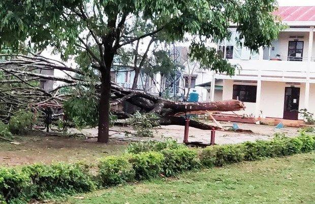 Lâm Đồng: Sét đánh chết 1 người đang gặt lúa, lốc xoáy thổi bay 70 mái nhà-2