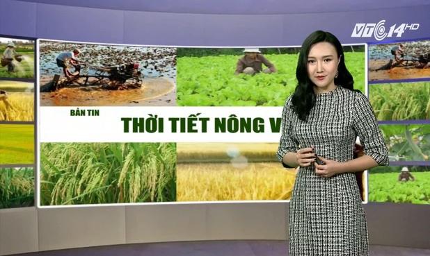 Nữ MC nổi tiếng Đài VTC phát hiện ung thư sau lễ dạm ngõ-5