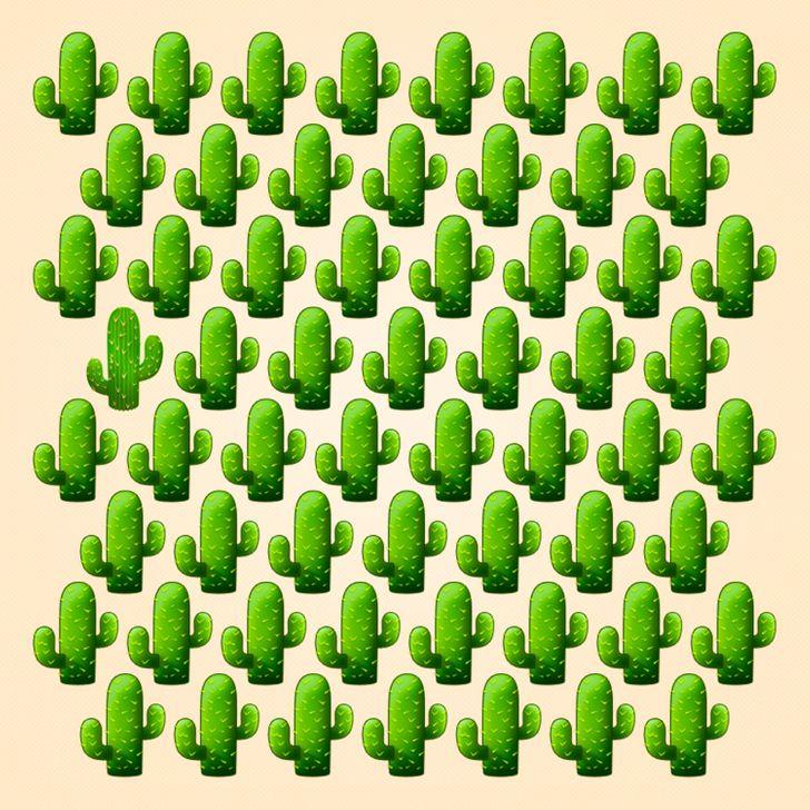 Thử tài tinh mắt: Mất bao nhiêu giây để tìm ra điểm khác biệt trong bức hình này?-2