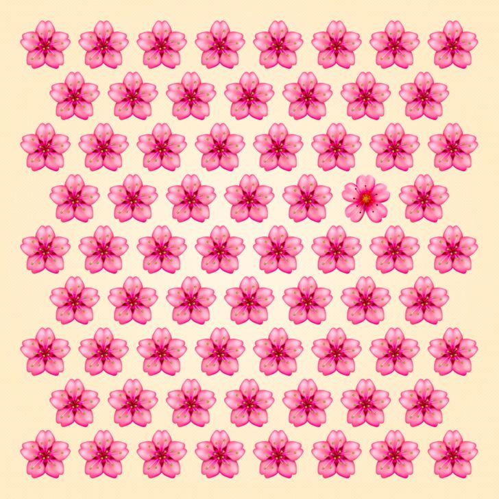 Thử tài tinh mắt: Mất bao nhiêu giây để tìm ra điểm khác biệt trong bức hình này?-4