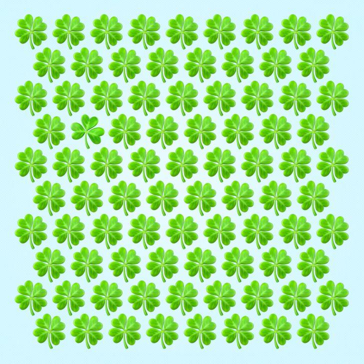 Thử tài tinh mắt: Mất bao nhiêu giây để tìm ra điểm khác biệt trong bức hình này?-8