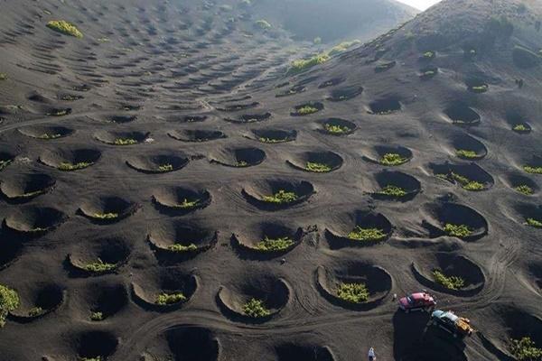 Ấn Độ: Treo cả nghìn em bé lên không trung để cầu may-2