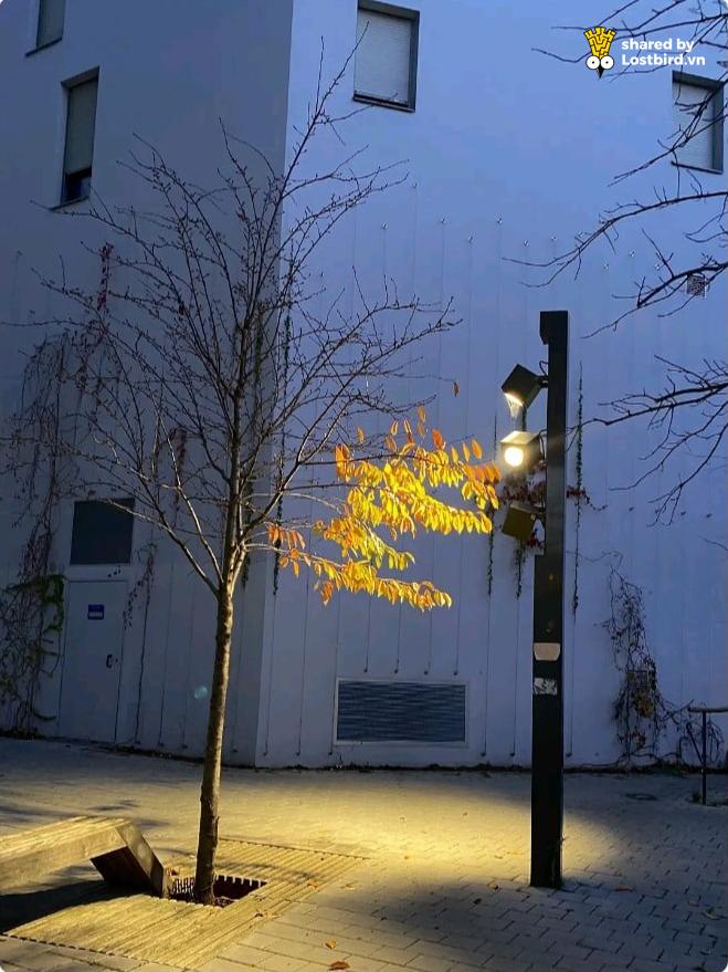 Những thứ nhỏ nhưng có võ, nhìn thôi cũng khiến bạn phát cuồng-3