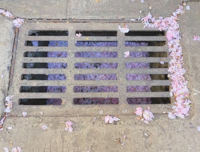 Những thứ nhỏ nhưng có võ, nhìn thôi cũng khiến bạn phát cuồng-5