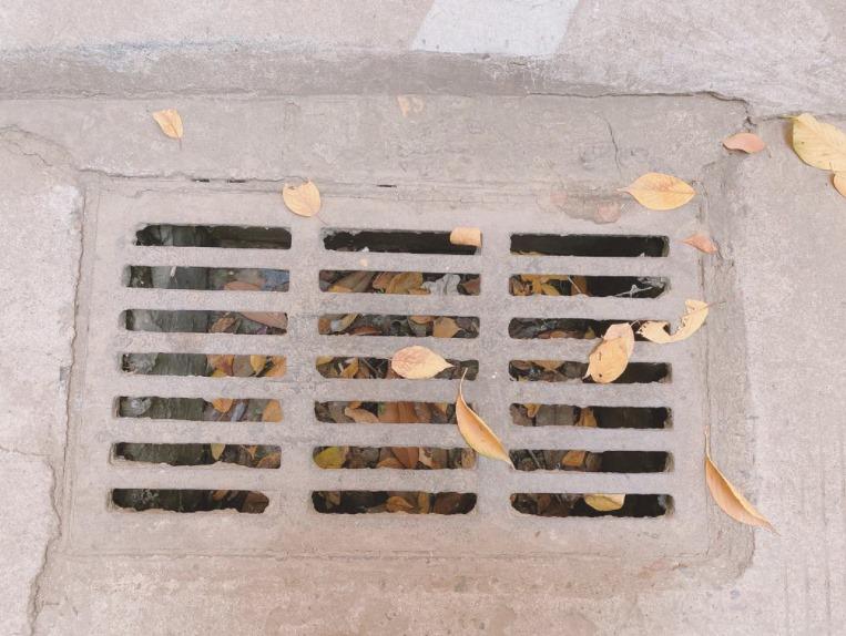 Những thứ nhỏ nhưng có võ, nhìn thôi cũng khiến bạn phát cuồng-6