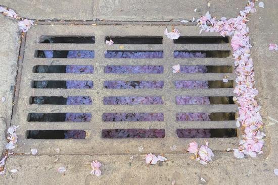 Những thứ 'nhỏ nhưng có võ', nhìn thôi cũng khiến bạn 'phát cuồng'