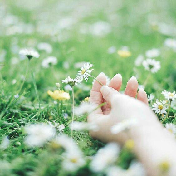 Tử vi 12 cung hoàng đạo thứ Tư ngày 24/3/2021: Nhân Mã nóng giận, Cự Giải chịu khó-2