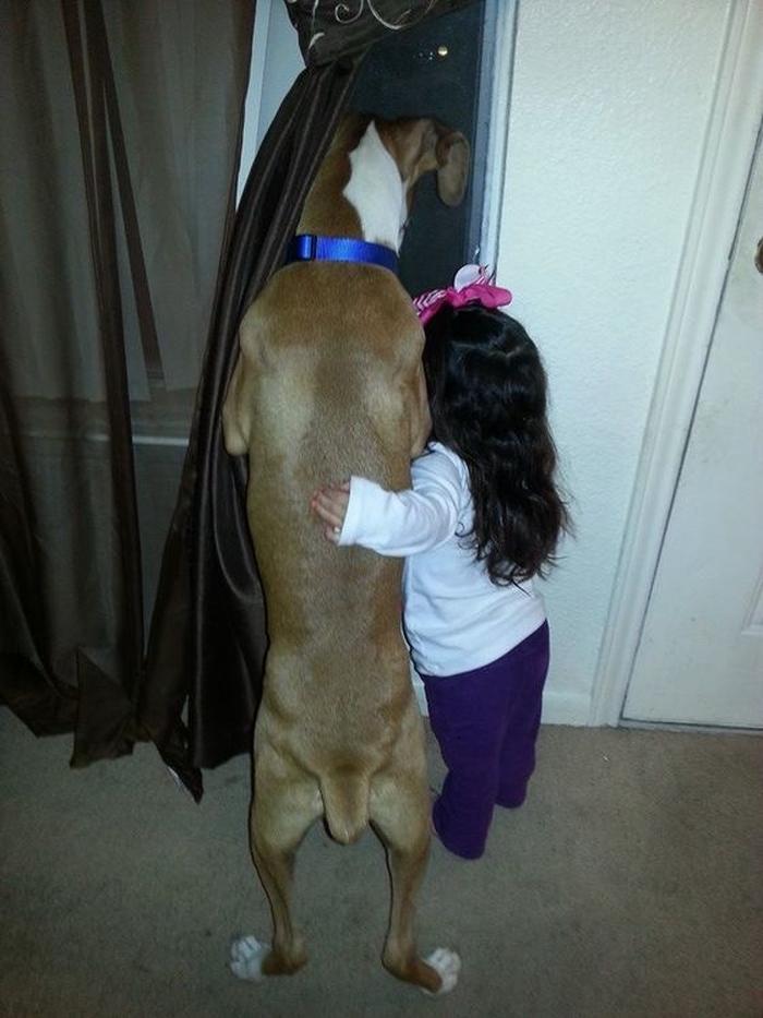 Lịm tim trước loạt khoảnh khắc chị chị em em của bé và thú cưng-3