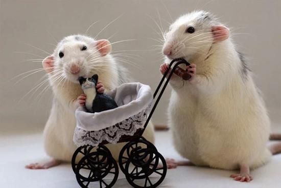 Sang ngày mới, 3 con giáp được Thần Tài độ, tiền rơi trúng đầu