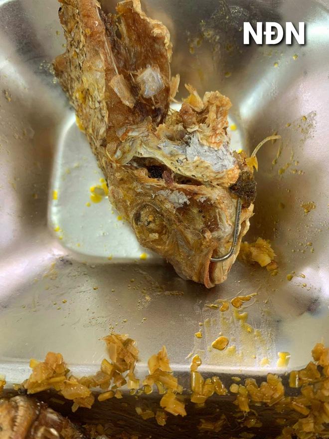 Ăn cơm trưa, hàng loạt công nhân thất kinh vì vật thể lạ sắc nhọn ở đĩa cá rán-2