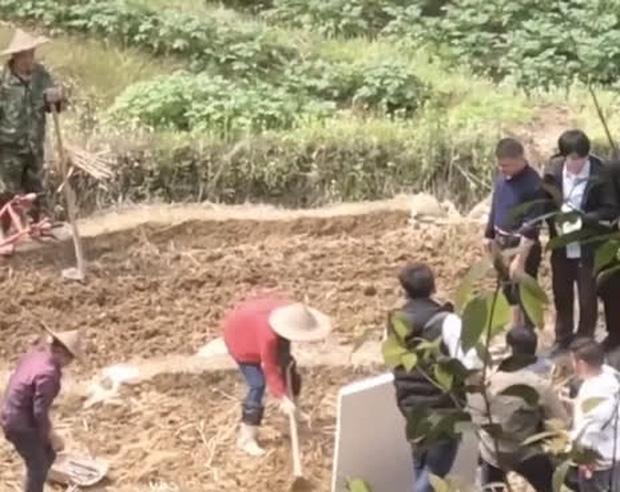 Netizen mắng Triệu Lệ Dĩnh quên nguồn cội vì không biết cày ruộng ở phim mới-2