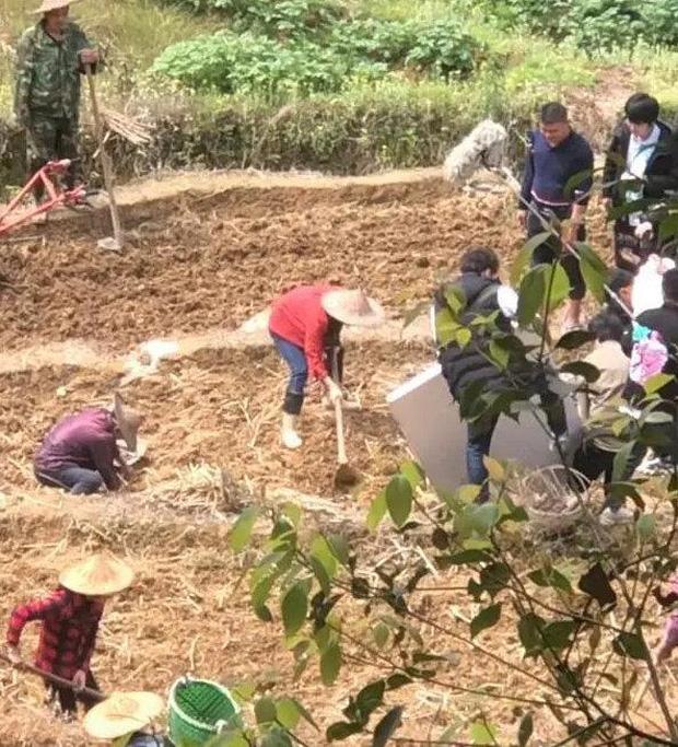 Netizen mắng Triệu Lệ Dĩnh quên nguồn cội vì không biết cày ruộng ở phim mới-3